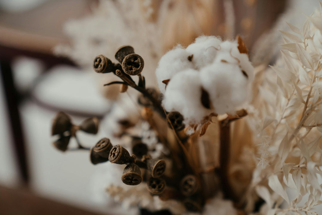 The science behind organic cotton and why it is the best choice for skin health